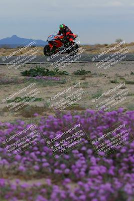 media/Jan-14-2023-SoCal Trackdays (Sat) [[497694156f]]/Turn 14 Exit Bloomig (145pm)/